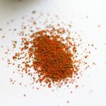 色・形　テトラ　プランクトン